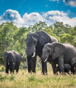 Mpumalanga